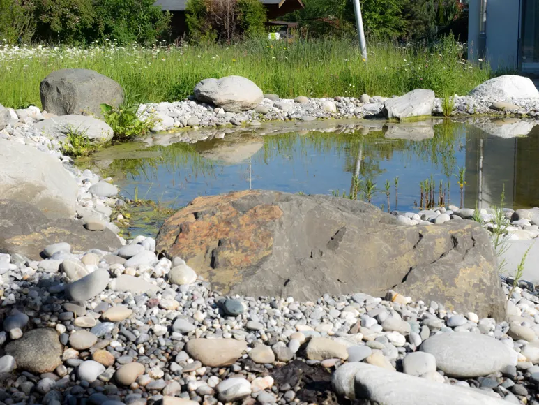 Teich, umrandet mit Steinen