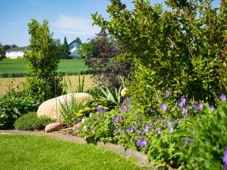 Garten mit Staudenrabatte